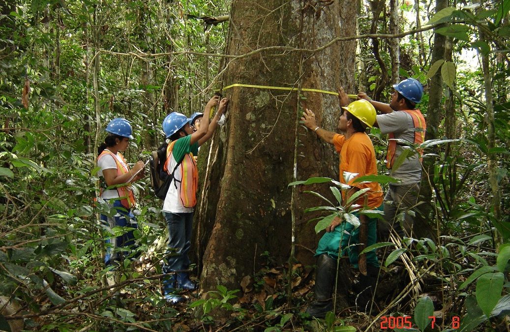 Projeto de Monitoramento fará entrega do terceiro Mapa Regional do Desmatamento Amazônica 2013-2014