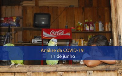 Análise do impacto da covid-19 na Região Amazônica (11 de junho)