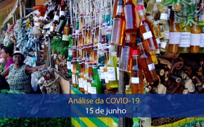 Análise de impacto da covid-19 na Região Amazônica (15 de junho)