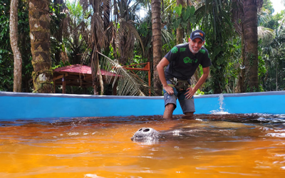 Centro de Resgate Amazônico tem novos espaços para peixes-boi