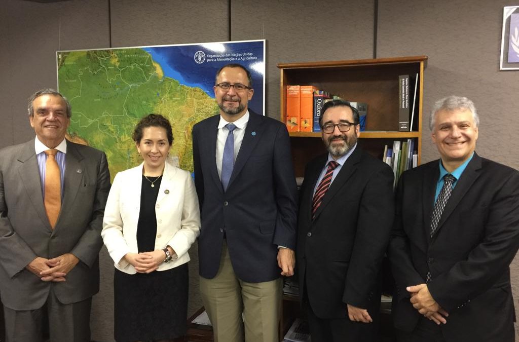 Representante da FAO no Brasil se reúne com diretores da OTCA