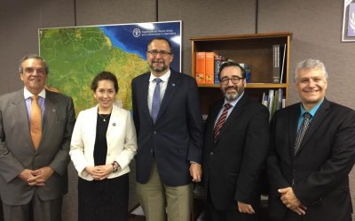 Representante da FAO no Brasil se reúne com diretores da OTCA
