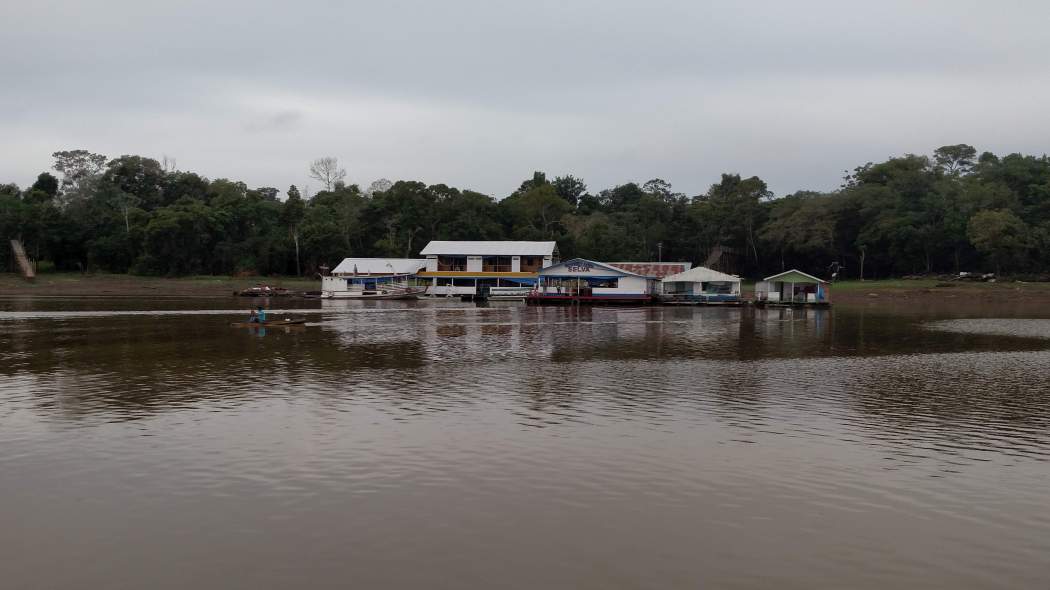 A OTCA está contratando consultoria para a criação de um sistema e um aplicativo de rastreabilidade (pirarucu Arapaima gigas)