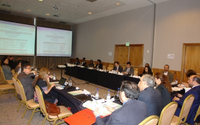 Delegados dos países membros participam de um workshop sobre a Agenda Estratégica de Cooperação Amazônica da OTCA