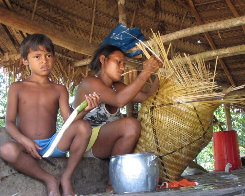 Princípios e diretrizes para a proteção de povos indígenas amazônicos contra a pandemia do coronavírus (COVID – 19)