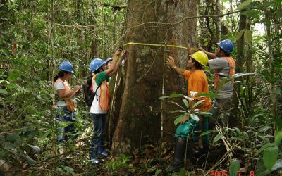 OTCA apresenta ações de cooperação regional na floresta amazônica na 12ª FNUB