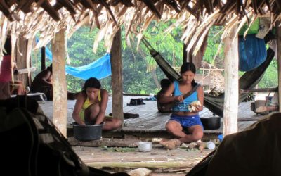 A OTCA está contratando serviços de intérprete e tradutor para língua das etnias indígenas de Roraima