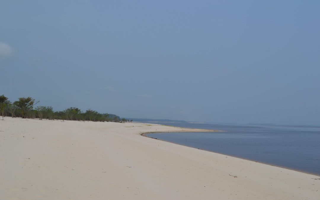 Dia Mundial do Meio Ambiente