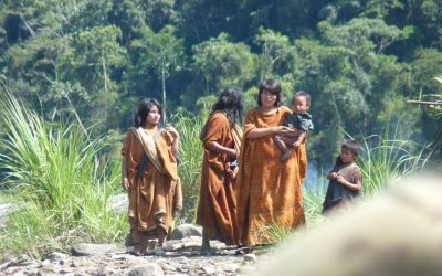A contribuição da OTCA para o bem-estar dos povos indígenas