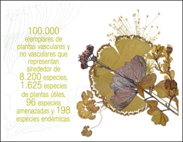 A importância das coleções biológicas para a conservação da biodiversidade