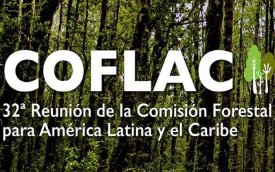 OTCA participa como observadora do 32º Encontro da COFLAC