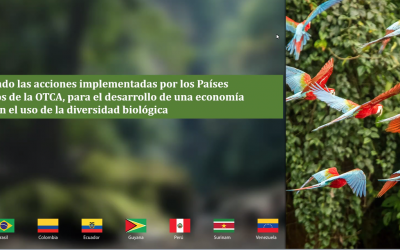 OTCA realiza webinar sobre uso da biodiversidade nos Países Amazônicos