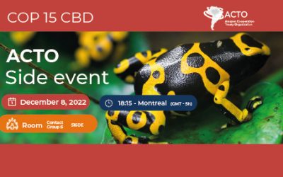 COP 15 CBD: Pré-lançamento dos resultados da Avaliação Rápida da Diversidade Biológica