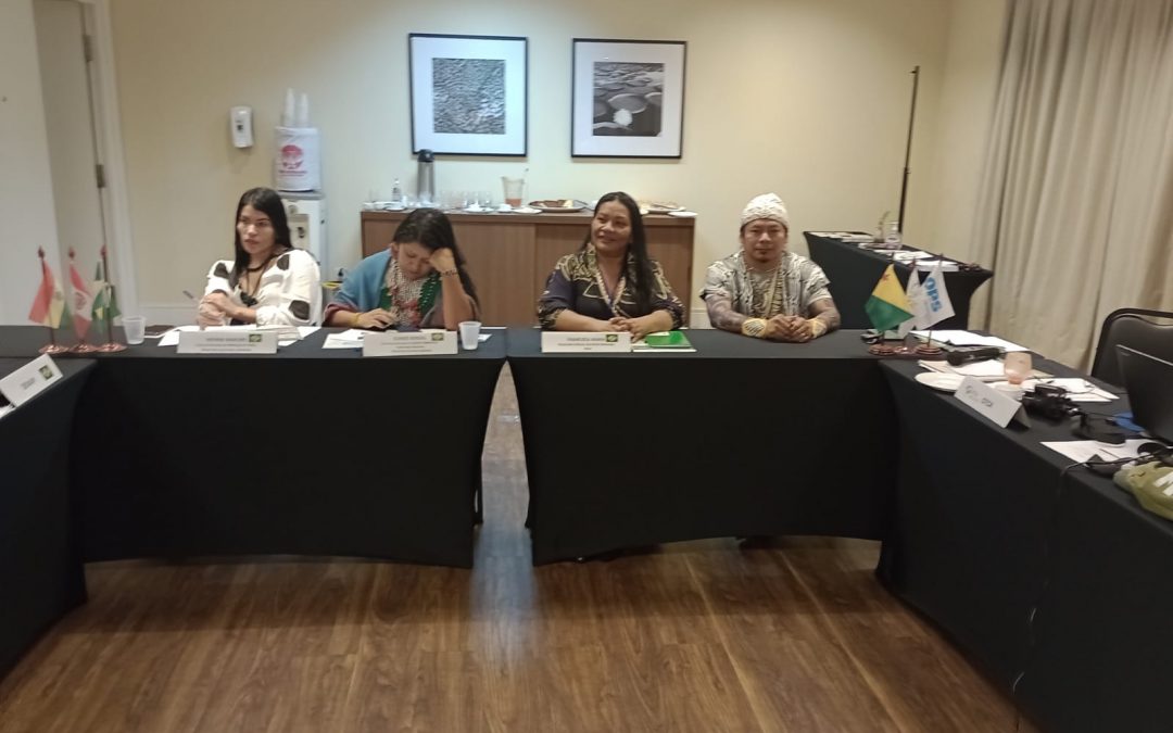 Reunião discute articulação entre os serviços de saúde da região de fronteira do MAP para o atendimento dos povos indígenas