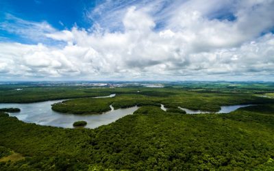 Programa “Melhora da resiliência climática através do aumenta da segurança hídrica na Bacia Amazônica”