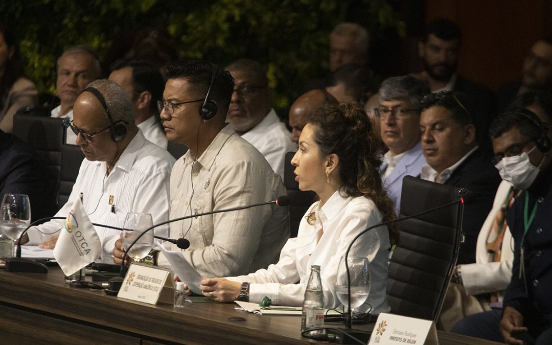 Países Amazônicos defendem fortalecimento da OTCA baseado em ciência