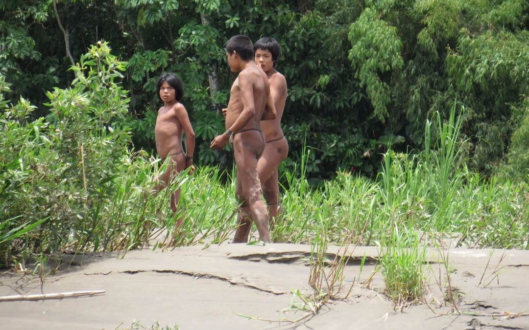 OTCA discute sobre povos Indígenas isolados no ambiente da Cúpula Amazônica
