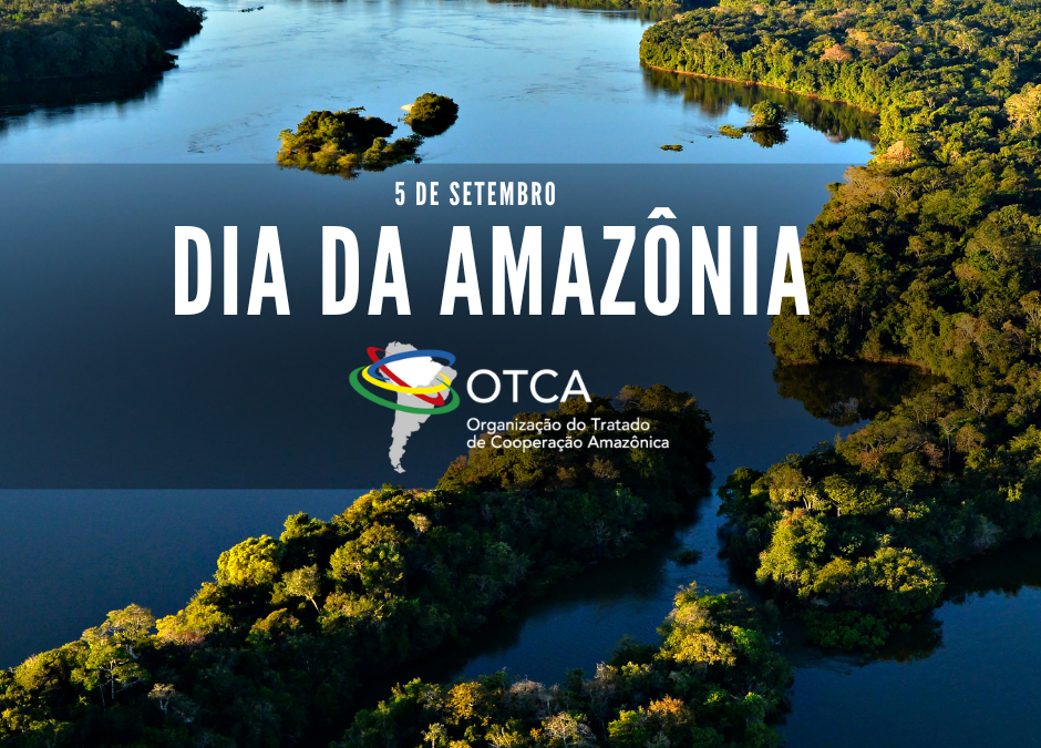Dia da Amazônia: celebrando a preservação e a cooperação internacional