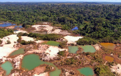 Estudo fornecerá uma visão regional sobre a situação da poluição por mercúrio na Bacia Amazônica