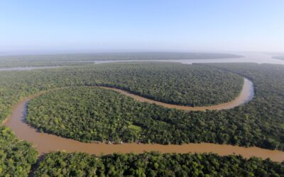 Equador realiza esta semana a Oficina Nacional de Implementação do PAE para a Gestão Integrada da Bacia Amazônica