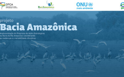 Para celebrar o 46º aniversário do Tratado de Cooperação Amazônica, a OTCA lança o novo site do Projeto Bacia Amazônica