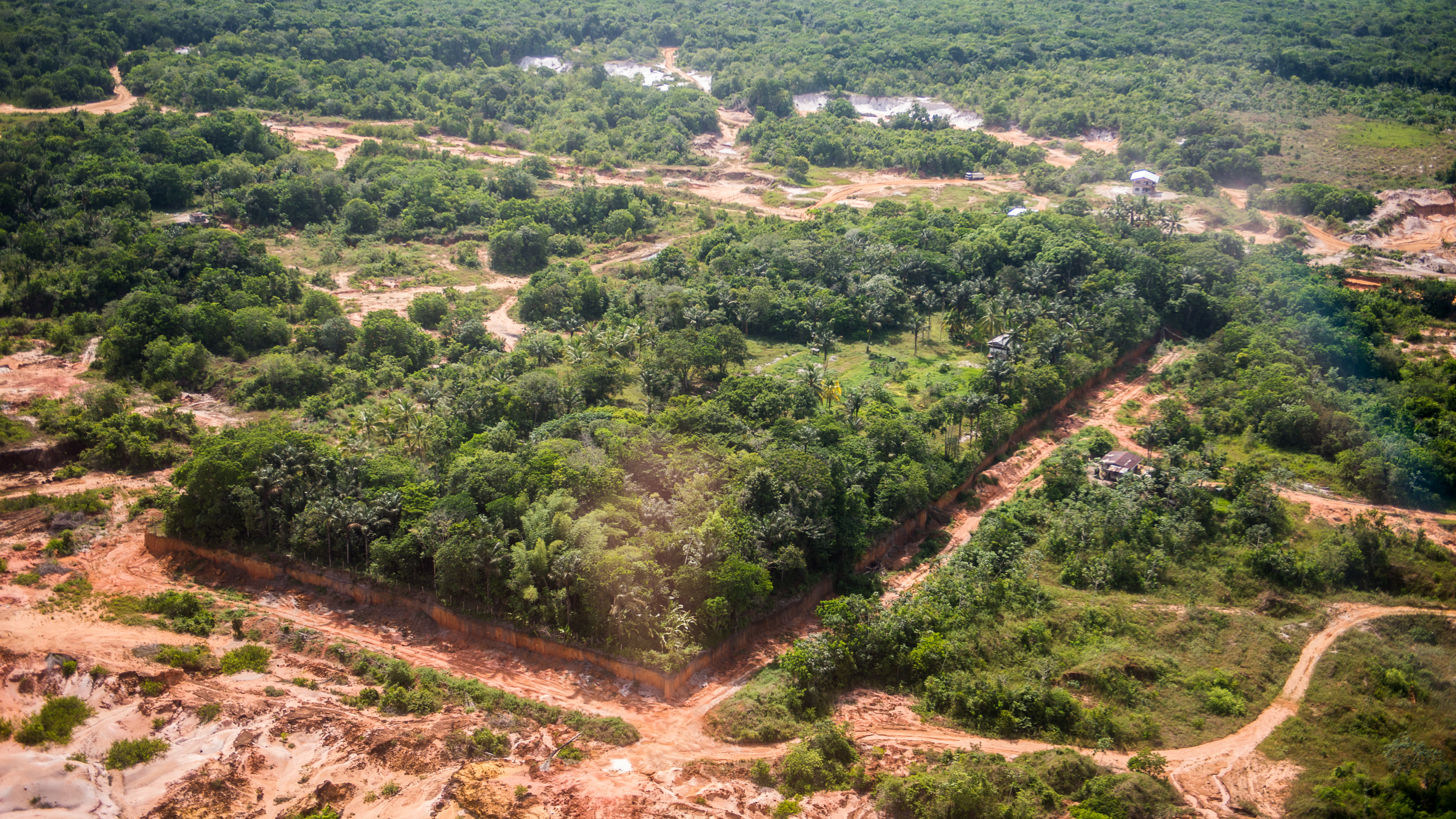 IBAMA e OTCA realizam missão técnica internacional para combater desmatamento na Amazônia