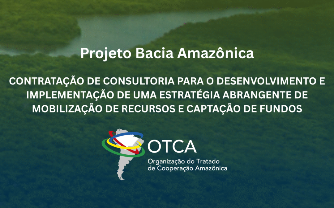 Consultoria para a Estratégia de Captação de Recursos e Parceiros