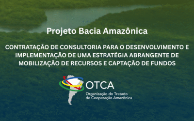 Consultoria para a Estratégia de Captação de Recursos e Parceiros