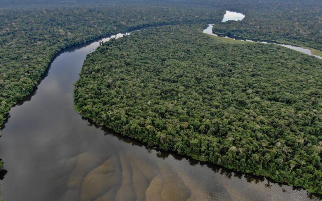 Dia Mundial do Meio Ambiente: conheça os avanços da ação conjunta dos Países Membros da OTCA na gestão integrada das águas amazônicas