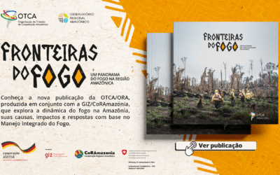 OTCA lançará novo livro com panorama abrangente sobre o fogo na região amazônica