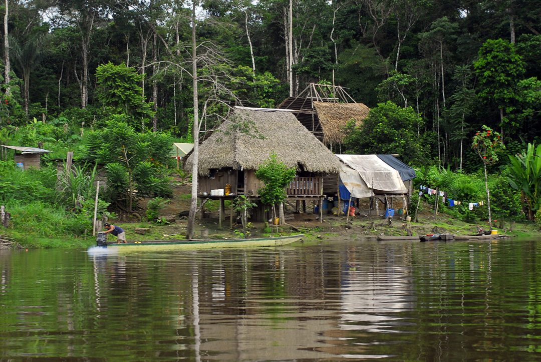 Proyecto de Apoyo a la Elaboración e Implementación de la Agenda Estratégica de Cooperación Amazónica