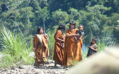 El aporte de la OTCA al bienestar de los pueblos indígenas