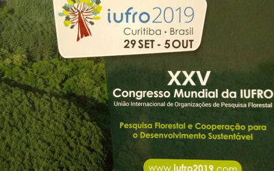 OTCA es invitada a participar del XXV Congreso Mundial de IUFRO