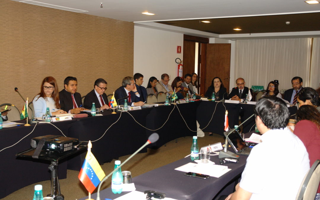 Agenda Estratégica de Cooperación Amazónica 2019 – 2030 es validada a nivel técnico