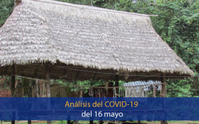 Análisis del impacto del coronavirus covid-19 en la Región Amazónica (16 de mayo)