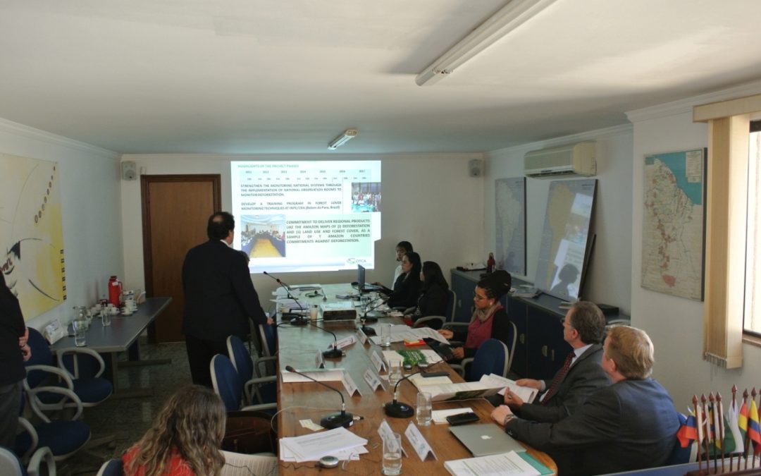 SP/OTCA realiza el III Comité Directivo del Proyecto Monitoreo
