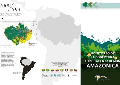 Folleto: Deforestación de la Región Amazónica