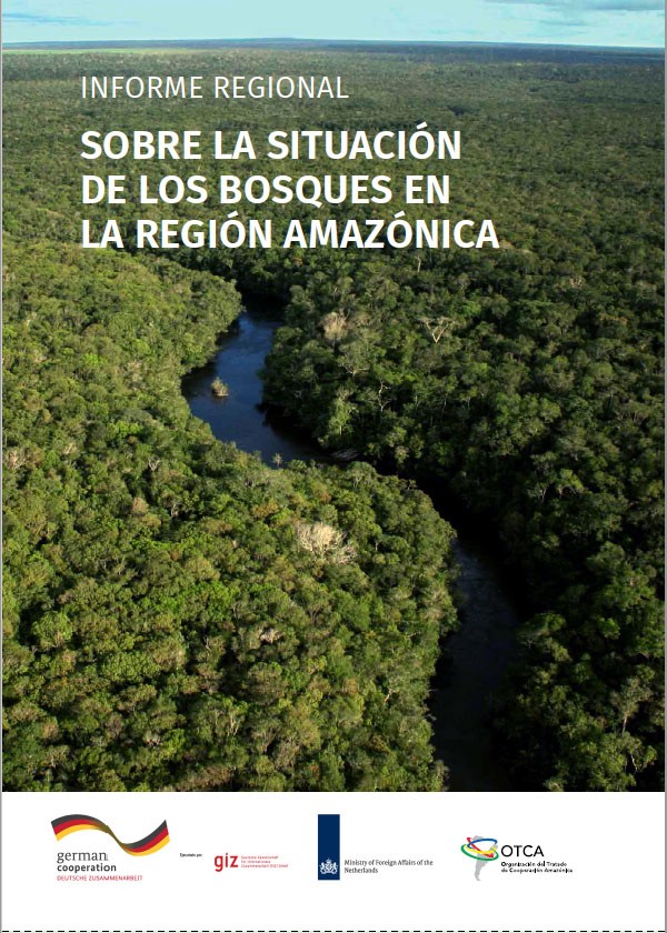 Informe regional “sobre la situación de los bosques en la Región Amazónica”