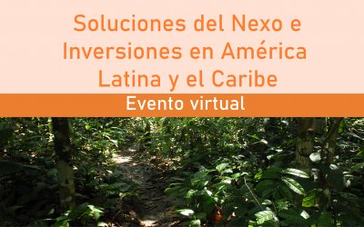 OTCA participa en el evento sobre soluciones del nexo e inversiones en América Latina y el Caribe