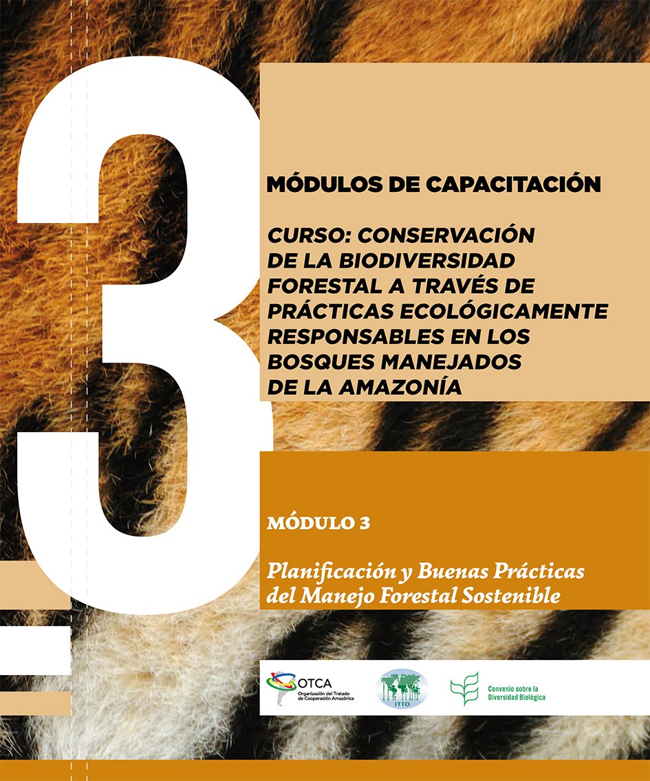 Módulo 3 capacitación: Planificación y buenas prácticas del manejo forestal sostenible