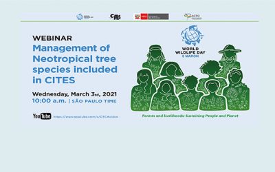 Amazon Webinar “Management of Neotropical tree species included in CITES”