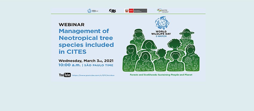 Amazon Webinar “Management of Neotropical tree species included in CITES”
