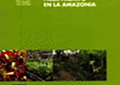 Cultivo del Pijuayo (Bactris gasipaes Kunth) para Palmito en la Amazonía