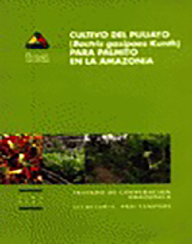 Cultivo del Pijuayo (Bactris gasipaes Kunth) para Palmito en la Amazonía