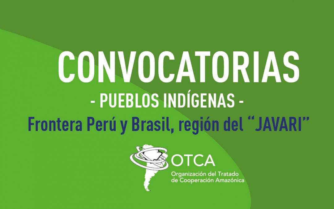 Contratación de consultoría para la elaboración de informes de análisis de situación de salud de pueblos indígenas en Frontera Perú y Brasil, región del “JAVARI”