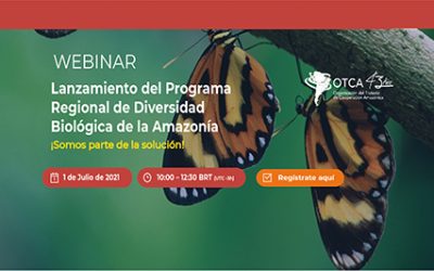 Webinar de lanzamiento del Programa Regional de Diversidad Biológica de la Amazonia