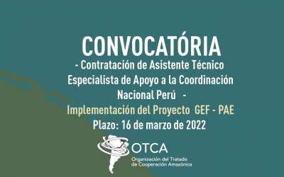 Contratación de un Asistente Técnico Especialista de Apoyo a la Coordinación Nacional Perú para implementación de proyecto en la Bacia Amazónica