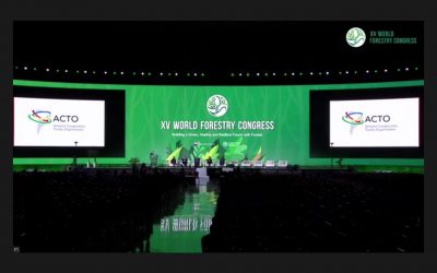 El Programa Regional de Bosques de la OTCA ha sido presentado en el XV Congreso Forestal Mundial