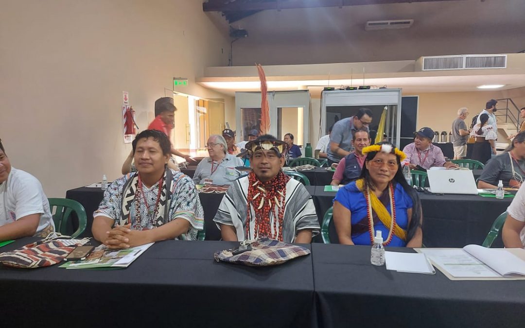 Especialistas y representantes indígenas intercambiar informaciones sobre la situación de los PIACI en la Amazonía y el Chaco
