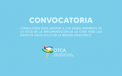 Convocatoria para contratar un Consultor para apoyar a los Países miembros de la OTCA en la implementación de la CITES para las rayas de agua dulce de la Región Amazónica.